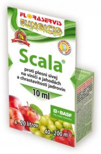 SCALA, 10 ml
